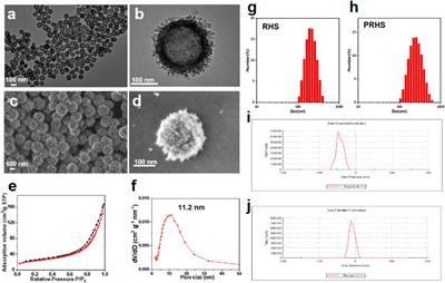 pH-responsive interface conversion efficient oral drug delivery platform for alleviating inflammatory bowel disease